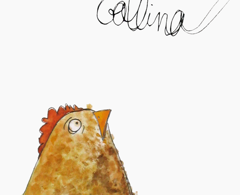 Gallina